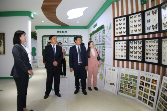 1733103243955468.png image.png