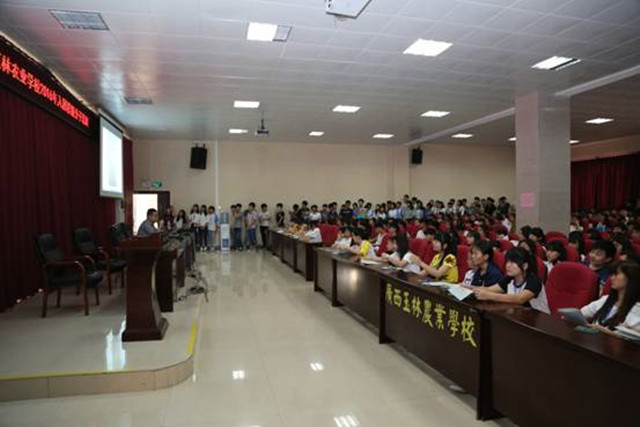 1492863505388432.jpg 01.jpg