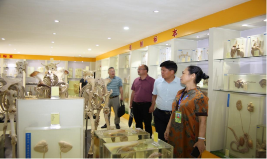 1694748415903730.png 1694748415903730.png