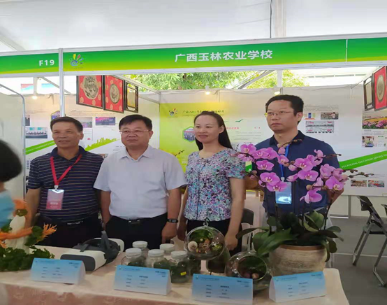 1621993377643344.png image.png