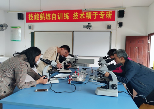 1574645261119920.png image.png