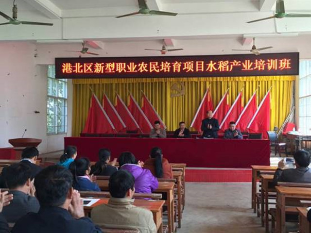 1492853445330091.jpg 95.jpg