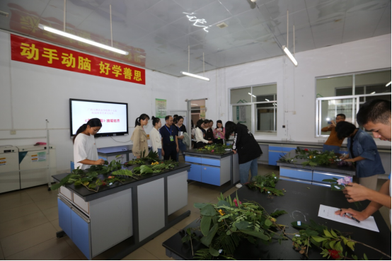 1699847670707727.png image.png