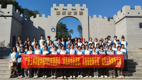 1709262896343451.png image.png