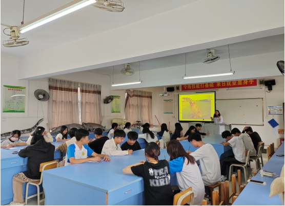 1699847991844222.png image.png